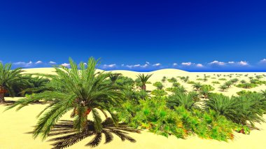 Sahara üzerinde Afrika oasis