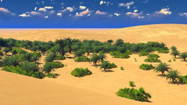 Sahara üzerinde Afrika oasis