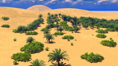 Sahara üzerinde Afrika oasis