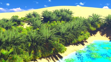 Sahara üzerinde Afrika oasis