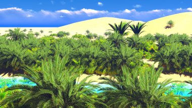 Sahara üzerinde Afrika oasis