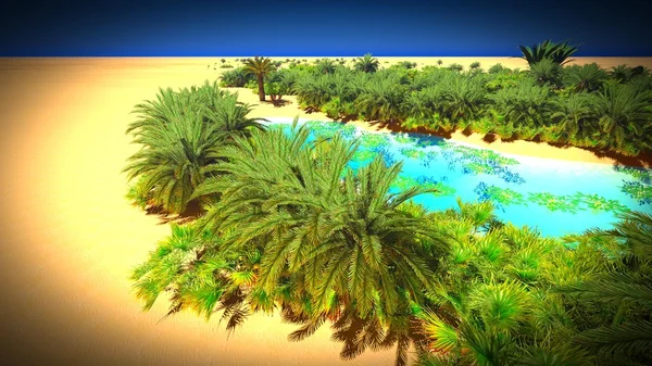 Oasis africaine au Sahara — Photo