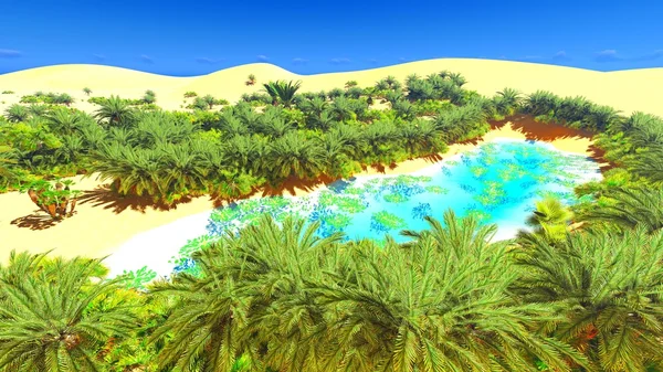 Oasis africaine au Sahara — Photo