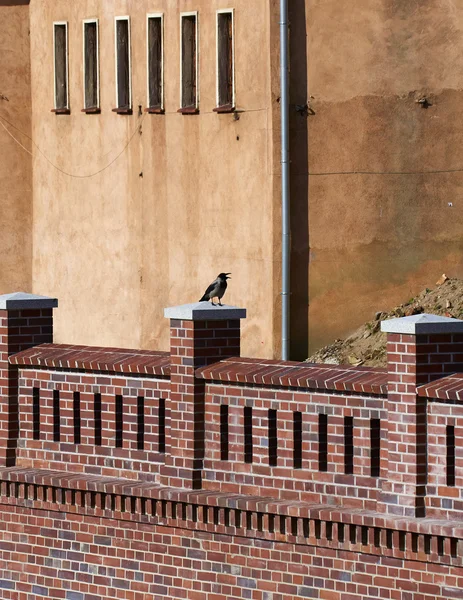 Kråkan sitter på gamla murarna av enbankment — Stockfoto