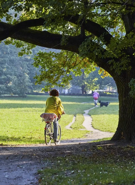 Vrouw op de fiets in park — Stockfoto