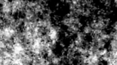 Mikroplar mikroskop altında