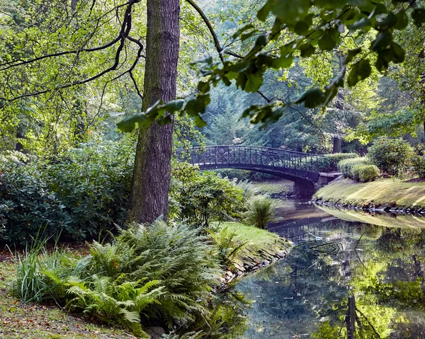 Ponte giapponese nel parco — Foto Stock