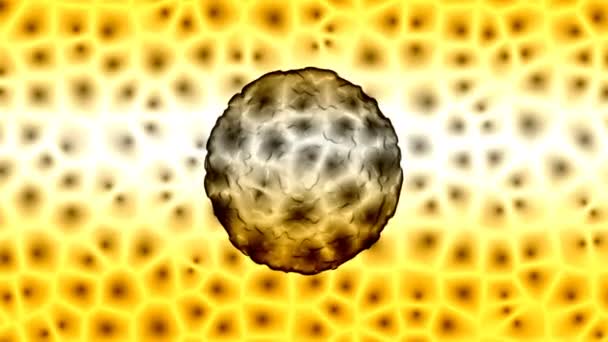 Вирус атакующих клеток — стоковое видео