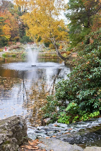 Fontanna w ogrodzie botanicznym we Wrocławiu — Zdjęcie stockowe