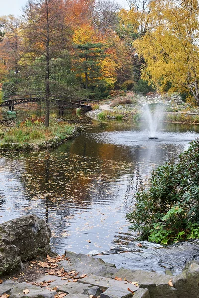 Fontanna w ogrodzie botanicznym we Wrocławiu — Zdjęcie stockowe