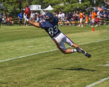 Daniel Braverman, Chicago Bears
