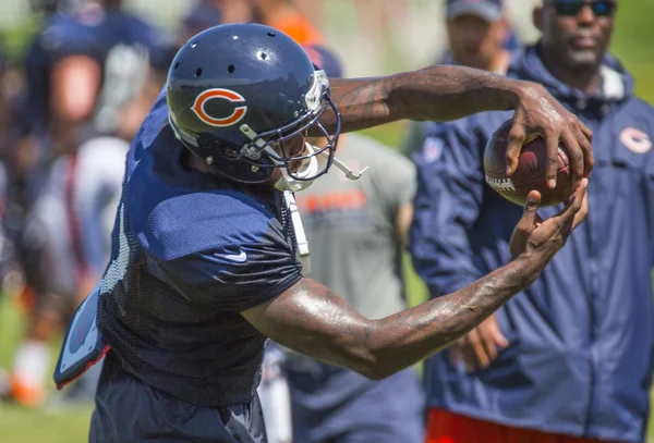 Alshon Jeffery, Chicago Bears — Stock Photo, Image