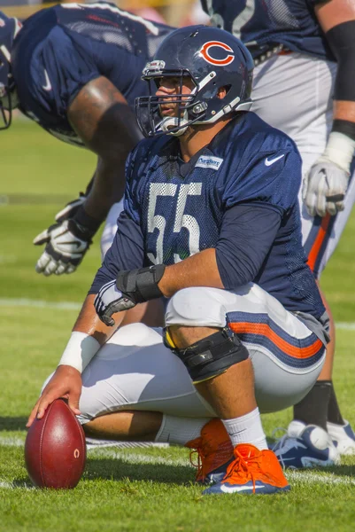 Hroniss Grasu, Chicago Bears — Foto Stock