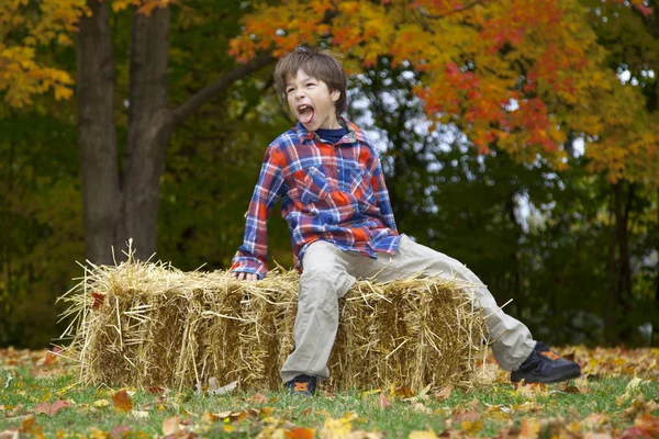 Young Man — Stock Photo, Image