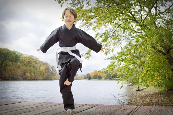 Karate kölyök Jogdíjmentes Stock Képek