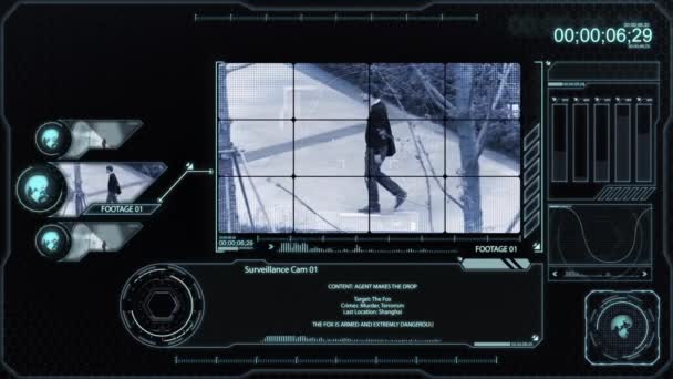 Moniteur de surveillance monochrome 