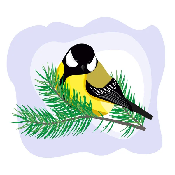 Bird Tit Sits Branch Fir Tree Vector Illustration — Stockový vektor