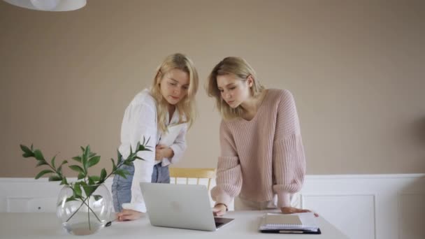 Empresarias creativas que tienen reunión informal en la oficina moderna de planta abierta. Dos mujeres jóvenes freelancer trabajando en el ordenador portátil. — Vídeo de stock