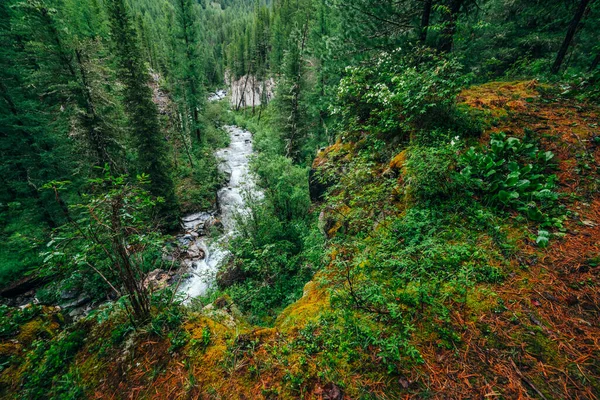 Яркий Пейзаж Лесной Свежести Богатая Зелень Мшистой Скале Над Горной — стоковое фото