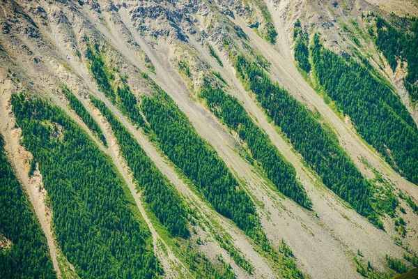 Příroda Pozadí Velké Krásné Horské Plochy Zelenou Lesní Plochy Zblízka — Stock fotografie