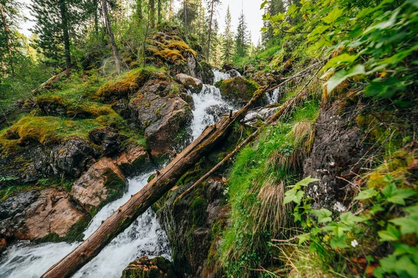 Paisaje Escénico Con Hermosa Cascada Bosque Entre Rica Vegetación Paisaje — Foto de Stock