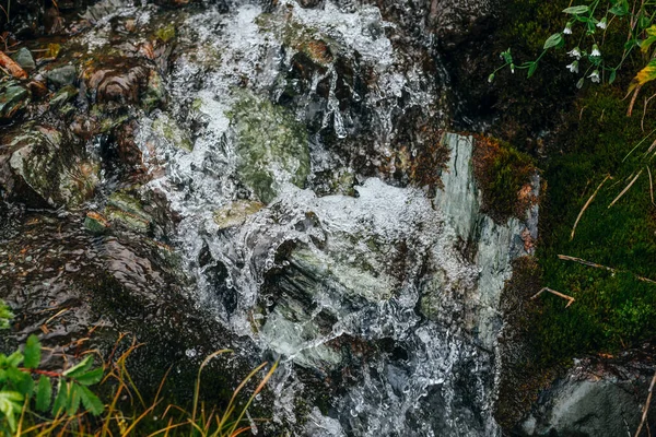 Der Malerische Hintergrund Eines Kleinen Wasserfalls Auf Bemoosten Felsen Nahaufnahme — Stockfoto