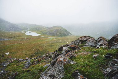 Dağlarda güzel kar yağışı. Atmosferik yeşil alp manzarası ve büyük kar taneleri. Küçük göl, su akıntıları ve kar yağışı sırasında keskin kayalık taşlarla kaplı kayalık tepe. İskoçya 'da kar taneleri