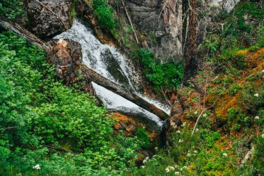 Yeşil uçurumdan, ormandaki güzel şelaleye zengin bitki örtüsü arasında manzara. Dağ deresinde devrilmiş ağaç gövdesi olan atmosferik ahşap bir manzara. Yaban bitkileri arasındaki kaynak suyu ile manzara.