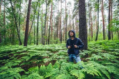 Güneşli yaz ormanlarında, eğrelti otlarının arasında sırt çantalı bir adam. Çam ormanlarında eğrelti otlarında bir adamla güzel bir orman manzarası. Ormandaki çalıların arasında sırt çantalı bir adam. Renkli doğa.