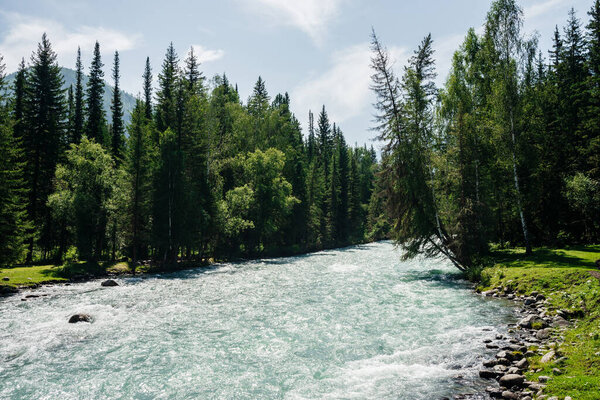 Beautiful mountain river with clear water in forest among rich greenery in sunny day. Wonderful landscape to mountain river with turquoise azure water. Colorful scenery with pleasant forest freshness.