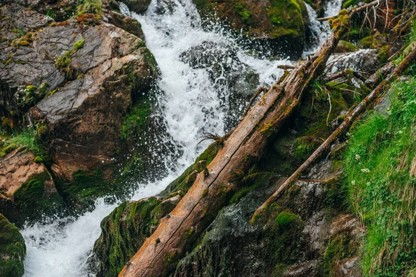 Paisagem Cênica Com Bela Cachoeira Floresta Entre Vegetação Rica Movimento — Fotografia de Stock