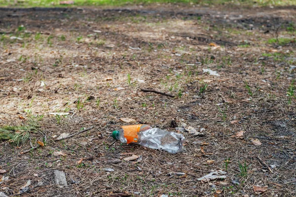 Пластиковая Бутылка Лесу Среди Растений Токсичный Пластик Природе Повсюду Мусорная — стоковое фото