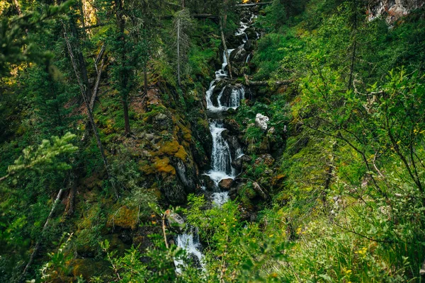 Paisagem Cênica Com Bela Cachoeira Floresta Entre Vegetação Rica Água — Fotografia de Stock