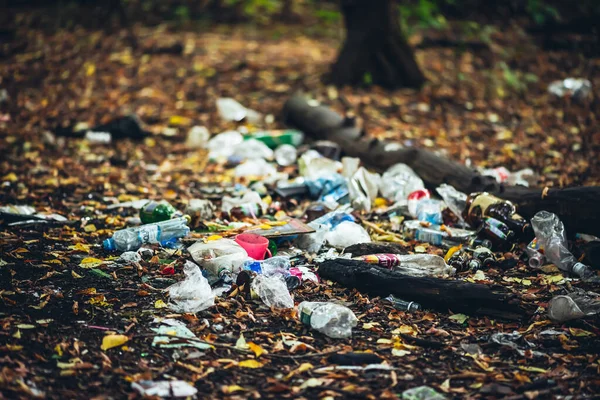 식물들 사이의 쓰레기 플라스틱은 어디에 나있습니다 초목들 사이로 공원에 쓰레기 — 스톡 사진