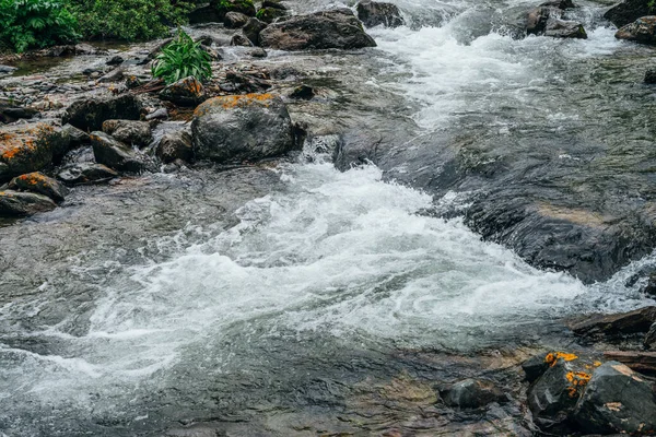 Όμορφο Τοπίο Πέτρες Στο Νερό Riffle Του Ποταμού Βουνό Ισχυρό — Φωτογραφία Αρχείου