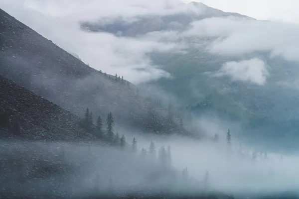 Dramatisch Trostloser Dichter Nebel Zwischen Großen Felsigen Berghängen Mit Nadelbäumen — Stockfoto