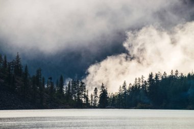 Sivri uçlu ağaç siluetleri dağın yamacında yoğun siste. Dağlık gölün sakin sularında çam ağaçları. Sabahın erken saatlerinde Alp sakin manzarası. Hayaletli atmosfer manzarası