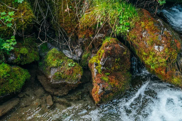 Fundo Natureza Cênica Com Belas Pedras Musgosas Vegetação Rica Perto — Fotografia de Stock