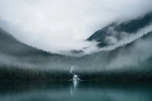 Fast Creek Ρέει Μεταξύ Των Δέντρων Και Ρέει Ορεινή Λίμνη — Φωτογραφία Αρχείου