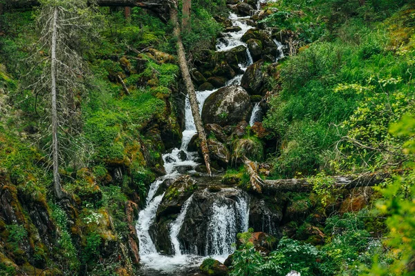 Scénická Krajina Krásným Vodopádem Lese Mezi Bohatou Vegetací Úbočí Hory — Stock fotografie