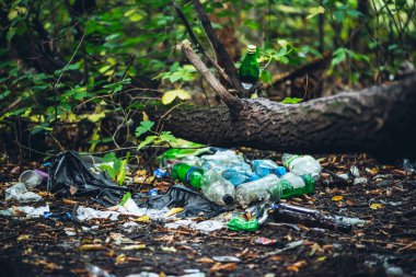 Bitkiler arasında ormanda çöp yığını. Doğanın her yerinde zehirli plastik var. Bitkilerin arasına park etmiş bir çöp yığını. Kirlenmiş toprak. Çevre kirliliği. Ekolojik bir sorun. Her yere çöp at..