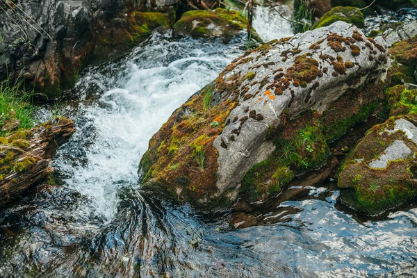 Fundo Natureza Cênica Com Pedra Musgosa Bonita Água Nascente Clara — Fotografia de Stock
