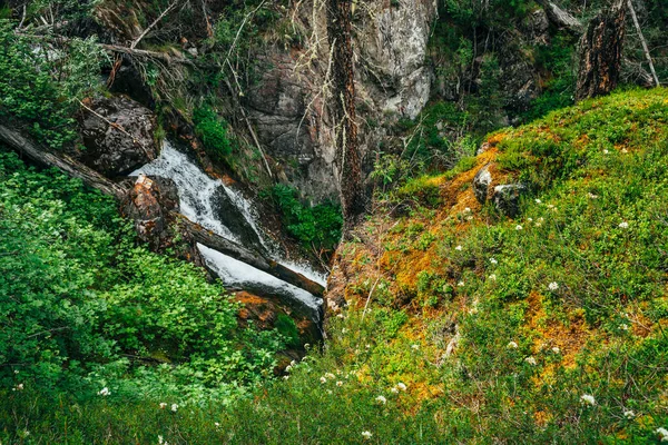 Scénický Pohled Zeleného Útesu Krásný Vodopád Lese Mezi Bohatou Vegetací — Stock fotografie