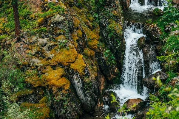 Naturskönt Landskap Med Vackert Vattenfall Skogen Bland Rik Växtlighet Klart — Stockfoto