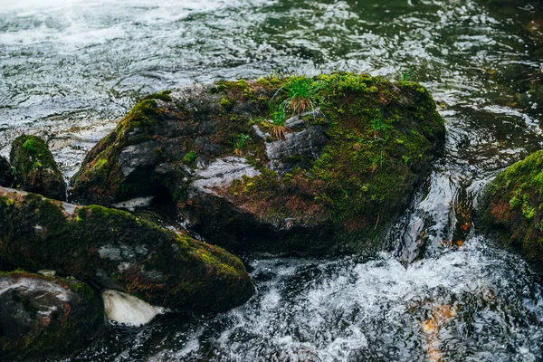 Pedras Grandes Com Musgo Líquen Rifa Água Rio Montanha Corrente — Fotografia de Stock