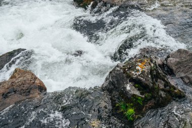 Dağ nehrinin su tabancasında yosun ve liken içeren büyük taşlar. Dağ deresinin güçlü su akıntısı. Dağ deresinin hızlı akışının doğal dokulu hızlı arka planı. Yosunlu kayalar yakın plan..