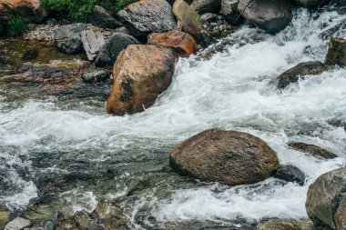 Dağ nehrinin su tabancasında büyük taşlar olan güzel bir manzara. Dağ deresindeki kayalar arasında akıntılı güçlü bir su akıntısı. Dağlık derede kayaların arasında hızlı akış. Küçük nehir yakınlaşması