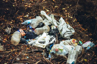 Bitkiler arasında ormanda çöp yığını. Doğanın her yerinde zehirli plastik var. Bitkilerin arasına park etmiş bir çöp yığını. Kirlenmiş toprak, doğa kirliliği. Ekolojik bir sorun. Rusya, Barnaul, 12 Eylül, 2019.