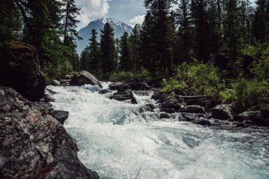 Güçlü dağ nehri ormandan akıyor. Hızlı nehirde masmavi suyu olan güzel bir dağ manzarası. Nehir akıntılarının donmuş hareketi. Dağların görkemli doğası. Aqua türbülansı.