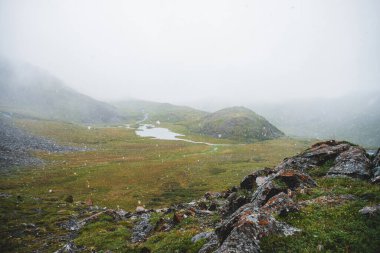 Dağlarda güzel kar yağışı. Atmosferik yeşil alp manzarası ve büyük kar taneleri. Küçük göl, su akıntıları ve kar yağışı sırasında keskin kayalık taşlarla kaplı kayalık tepe. İskoçya 'da kar taneleri